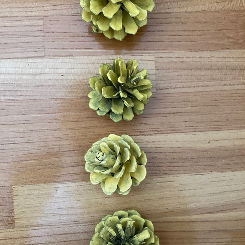 リース用パーツ木の実セット【着色あり】【送料無料】 その他素材 ちゅ