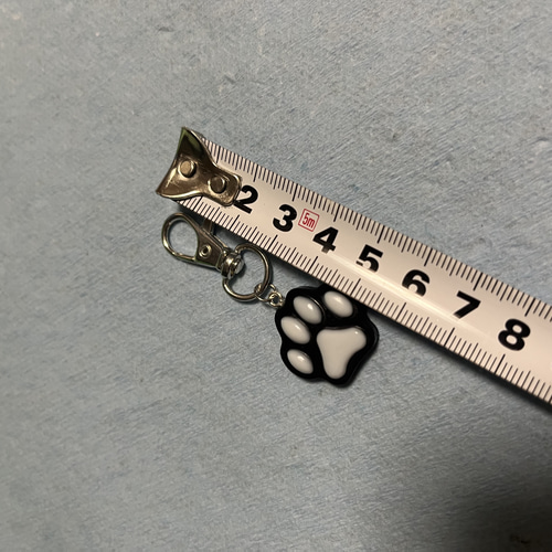 BXです❣️王一博 肖戦 肉球棒　レジン　キーホルダー　確認用　0804 r10-1.jpg