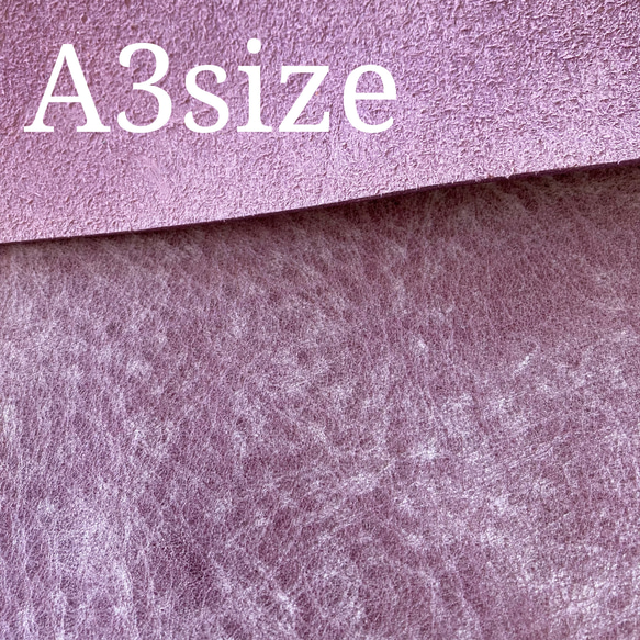 ALASKA アラスカ A3サイズ バイオレット(violet#ska-17) アズーラ社 1枚目の画像