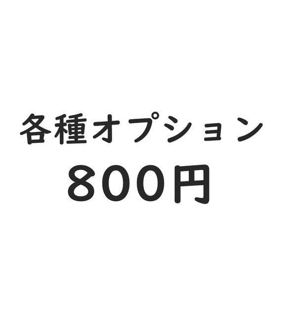 各種オプション800円 1枚目の画像