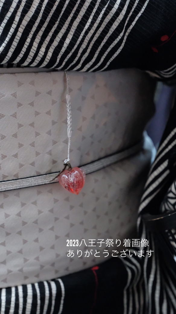 鬼灯レジンの耳飾り《赤色》（左右葉脈色違い） 14枚目の画像