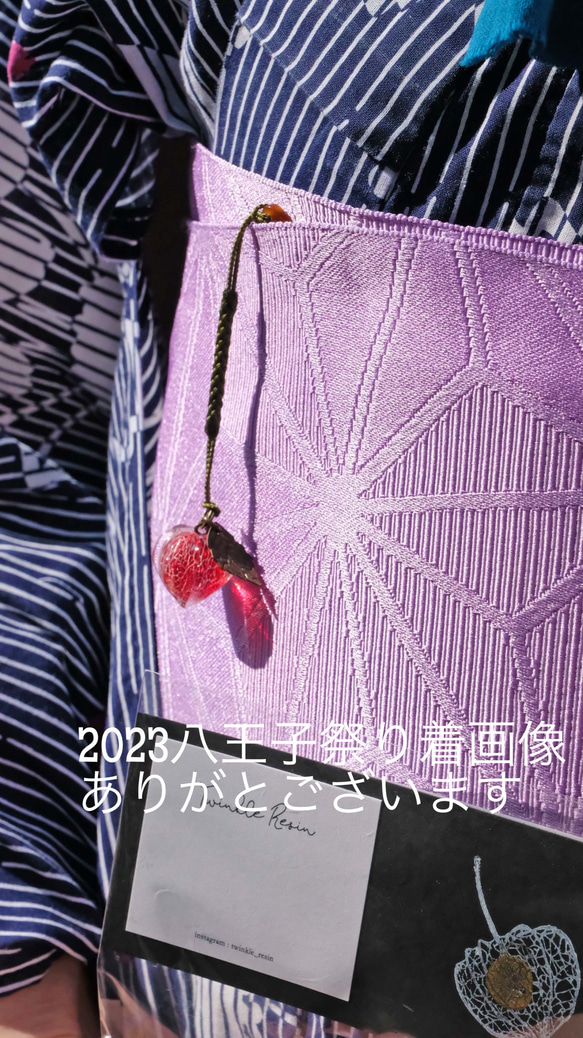 鬼灯レジンの耳飾り《赤色》（左右葉脈色違い） 18枚目の画像