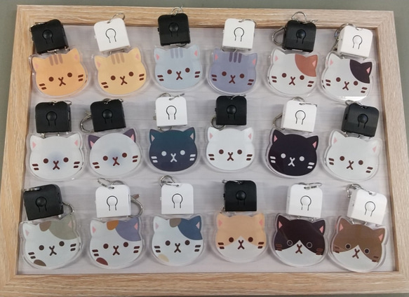 選べる！ねこちゃんLEDアクリルチャーム 2枚目の画像
