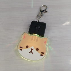 選べる！ねこちゃんLEDアクリルチャーム 1枚目の画像