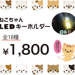 選べる！ねこちゃんLEDアクリルチャーム 3枚目の画像