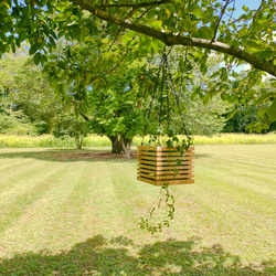マンゴーウッド製ハンギング　観葉植物用ハンギングBOX　インテリア雑貨　インドアグリーン吊るし飾り 1枚目の画像