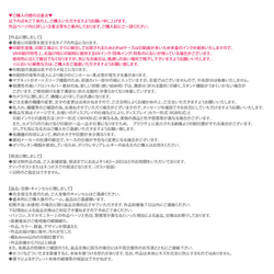 【奏（Kanade）コスモス】手帳型iPadケース【バックカバー：ハードタイプ】片面印刷/カメラ穴あり 7枚目の画像