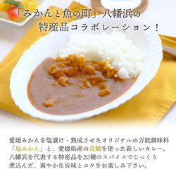 愛媛のご当地カレー 塩みかんの鯛カレー 7枚目の画像