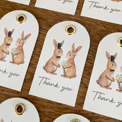 adbdb8cfad6f92e844021d45ef4cb5