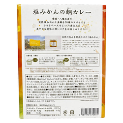 愛媛のご当地カレー  塩みかんの鯛カレー 200g×4箱 ギフトセット 4枚目の画像