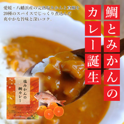愛媛のご当地カレー  塩みかんの鯛カレー 200g×4箱 ギフトセット 8枚目の画像