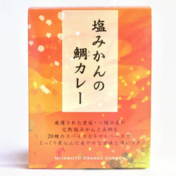 愛媛のご当地カレー  塩みかんの鯛カレー 200g×4箱 ギフトセット 3枚目の画像