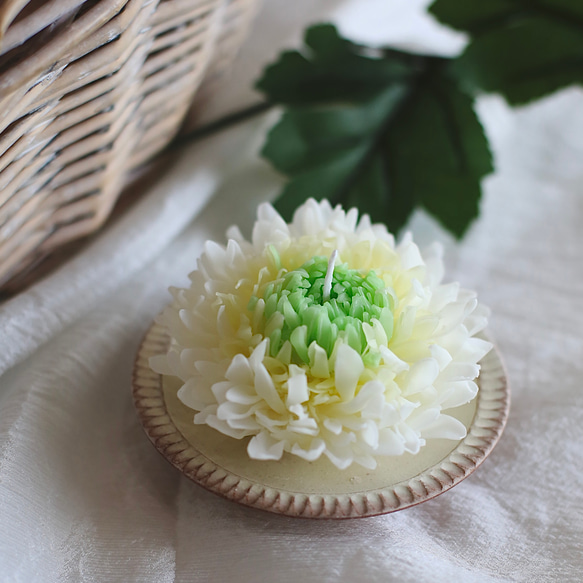 天然の蜜蝋　マム（菊）のキャンドル 4枚目の画像