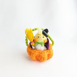 【受注制作】ハロウィン☆オカメインコちゃんとかぼちゃの小かご 1枚目の画像