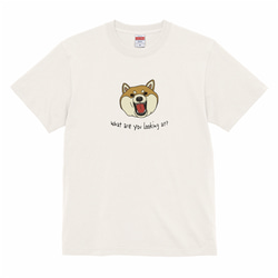 Tシャツ　What are you looking at? 怒る柴犬　白系 1枚目の画像