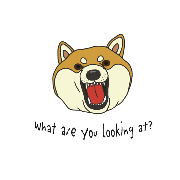 Tシャツ　What are you looking at? 怒る柴犬　白系 2枚目の画像