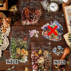 送料無料【S323 コラージュ素材】海外PETシール　植物　花　秋　ジャーナル　手帳　おすそ分け　 1枚目の画像