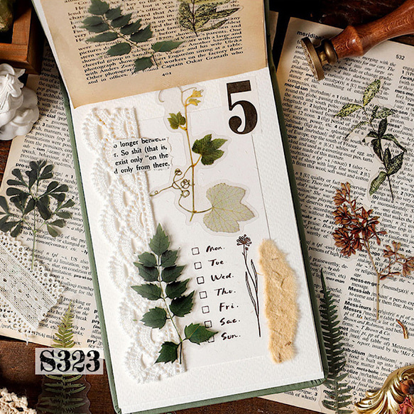 送料無料【S323 コラージュ素材】海外PETシール　植物　花　秋　ジャーナル　手帳　おすそ分け　 3枚目の画像
