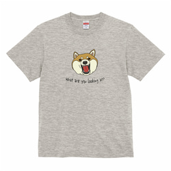 Tシャツ 怒る柴犬とクワガタ 濃色系 Tシャツ Miss.Curiosity 通販