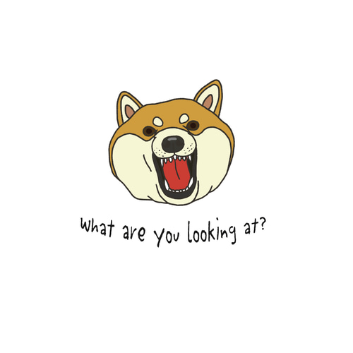 Tシャツ What are you looking at? 怒る柴犬 濃色系 Tシャツ Miss