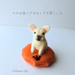 チャウチャウ 羊毛フェルト ぬいぐるみ 犬 置き物 送料無料 羊毛