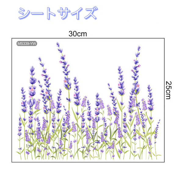  第6張的照片