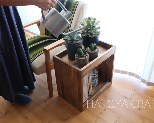 ペンタゴンテーブル サイドテーブル 什器 アガベ棚 アイアン