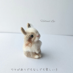 チャウチャウ 羊毛フェルト ぬいぐるみ 犬 置き物 送料無料 羊毛