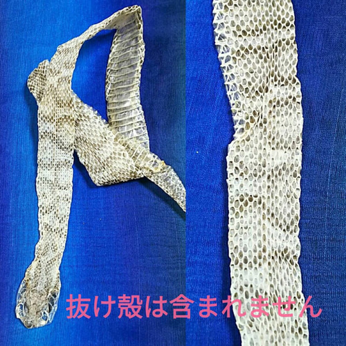 マムシ 白蛇 カード 1000万円 紫 帯 純金 お札 財布 虹の衣 虹の マムシ 白蛇 カード 1000万円 紫 帯 純金 お札 財布 虹の衣 虹の