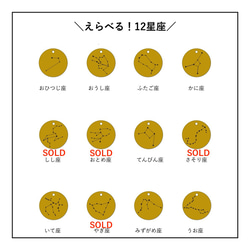 存貨有限！ 【嬌小】12星座硬幣項鍊 第4張的照片