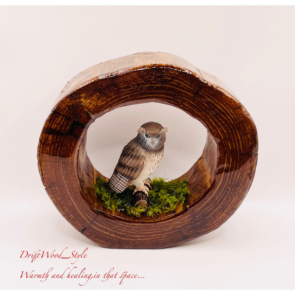 一つ限りの流木アート 森の中のシマフクロウ ジオラマ 流木 フィギュア 置物 鳥 インテリア レジン N1 2枚目の画像