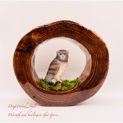 一つ限りの流木アート 森の中のシマフクロウ ジオラマ 流木 フィギュア 置物 鳥 インテリア レジン N1 1枚目の画像