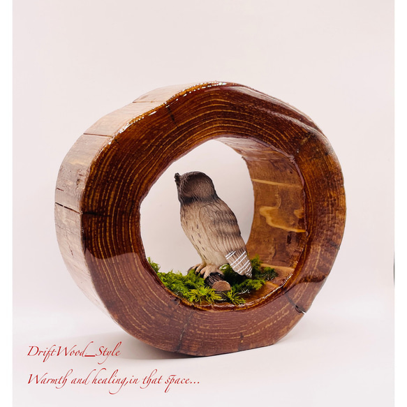 一つ限りの流木アート 森の中のシマフクロウ ジオラマ 流木 フィギュア 置物 鳥 インテリア レジン N1 8枚目の画像