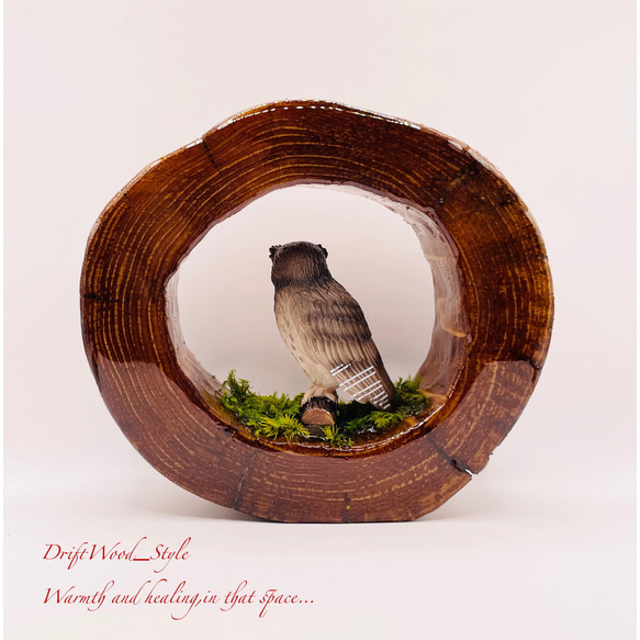 一つ限りの流木アート 森の中のシマフクロウ ジオラマ 流木 フィギュア 置物 鳥 インテリア レジン N1 5枚目の画像