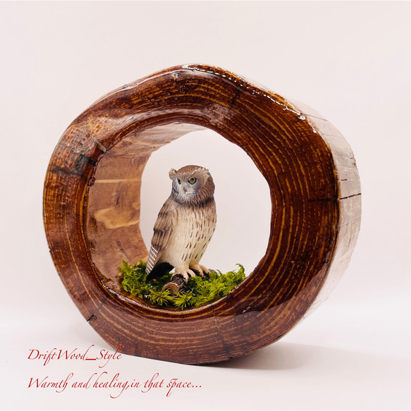 一つ限りの流木アート 森の中のシマフクロウ ジオラマ 流木 フィギュア 置物 鳥 インテリア レジン N1 3枚目の画像
