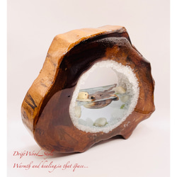 ※アウトレット品 一つ限りの流木アート 海に浮かぶラッコ ジオラマ 流木 フィギュア 置物 レジン 海の生き物 N1 9枚目の画像