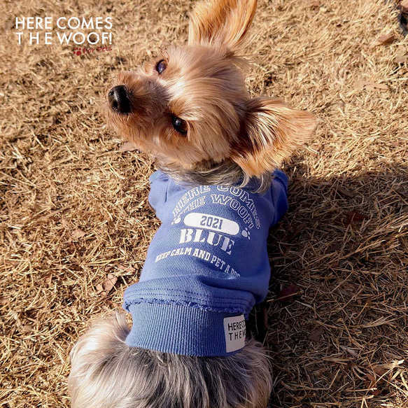犬服☆ワンちゃん用名前入りヴィンテージ風トレーナー【サックスブルー