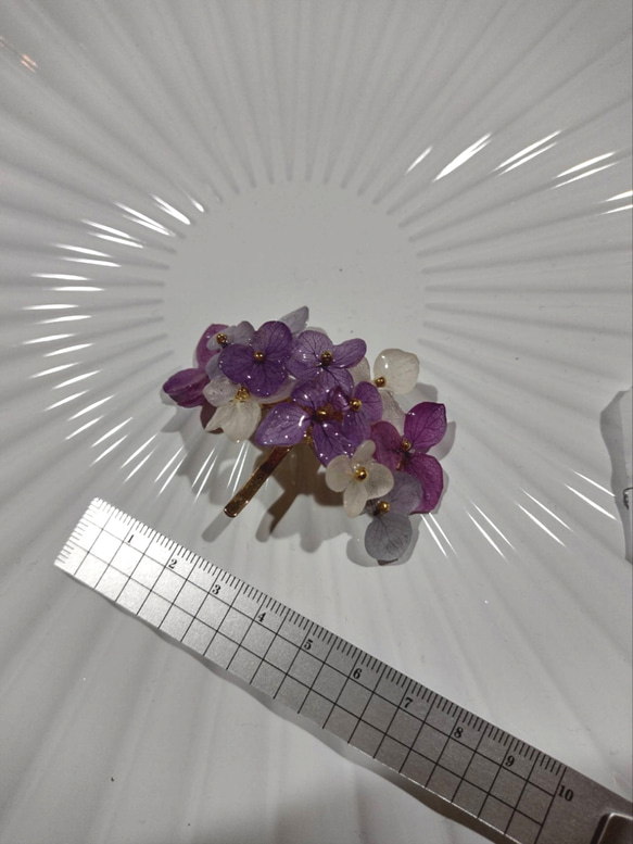 【受注生産】本物の紫陽花アナベル　ポニーフック　紫　✾結んだ髪に差し込むだけで完成です 6枚目の画像