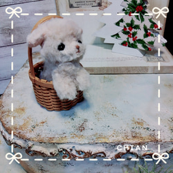 テディベア ウサギ うさぎ アーティストベア おまけ付き ぬいぐるみ