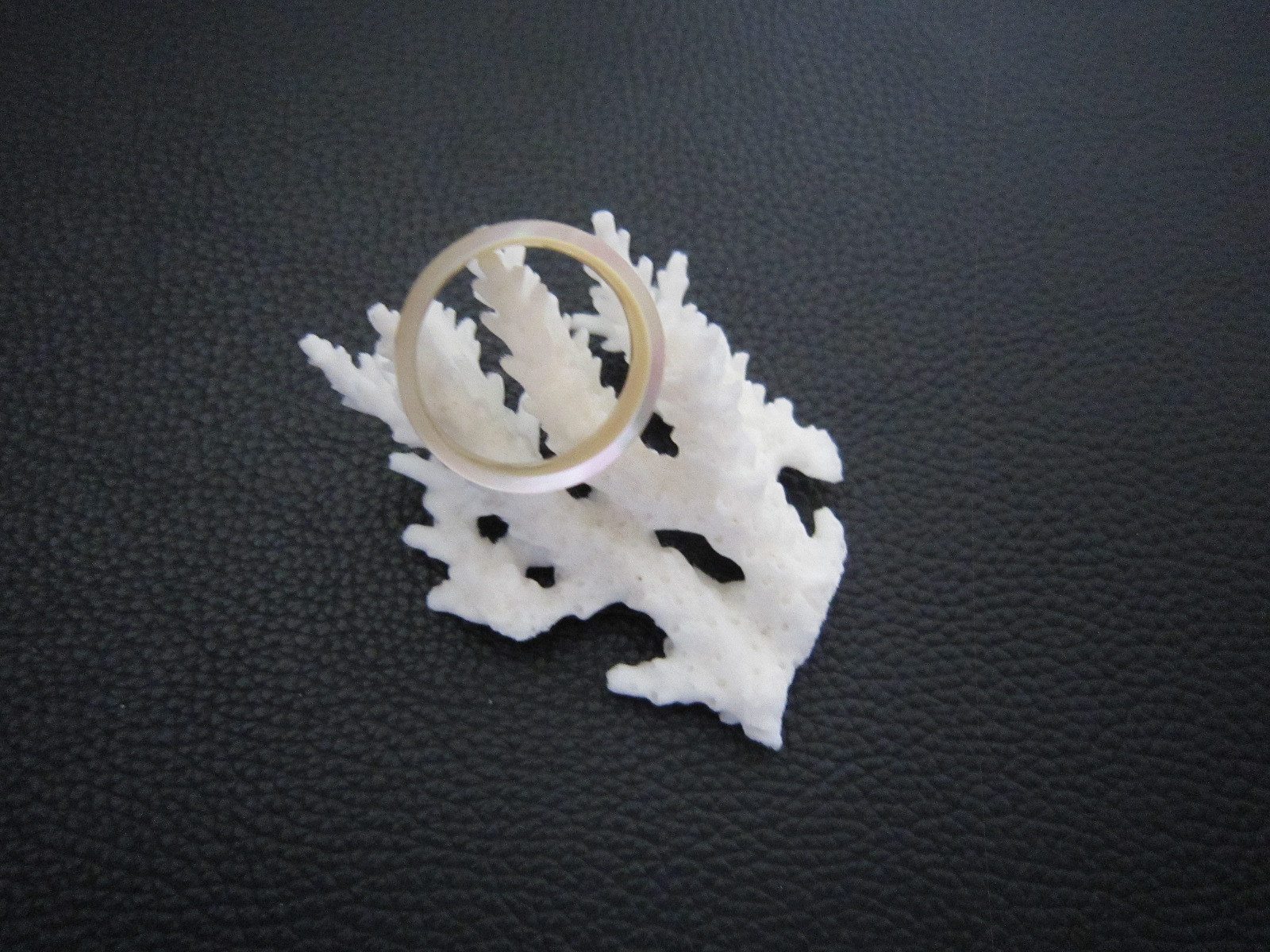夜光貝指輪　１７号　シェルリング㊽