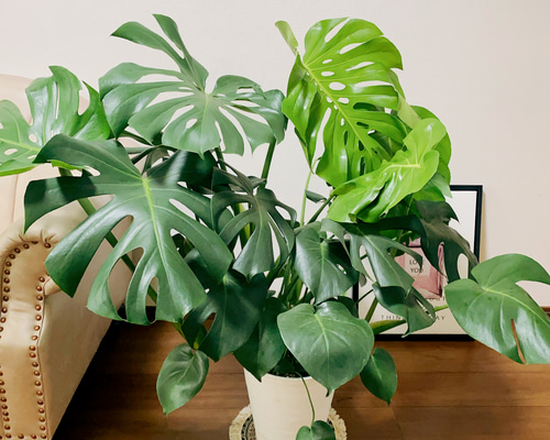 dd37680b936cede5690be29c4063f2