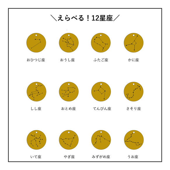 存貨有限！ [嬌小] 12 星座硬幣項鍊和 2 條天然石項鍊套裝 第5張的照片