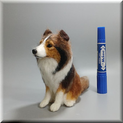 羊毛フェルト　犬　シェルティ　シェットランドシープドッグ　いぬ　イヌ　犬フィギュア 10枚目の画像