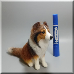 羊毛フェルト　犬　シェルティ　シェットランドシープドッグ　いぬ　イヌ　犬フィギュア 6枚目の画像