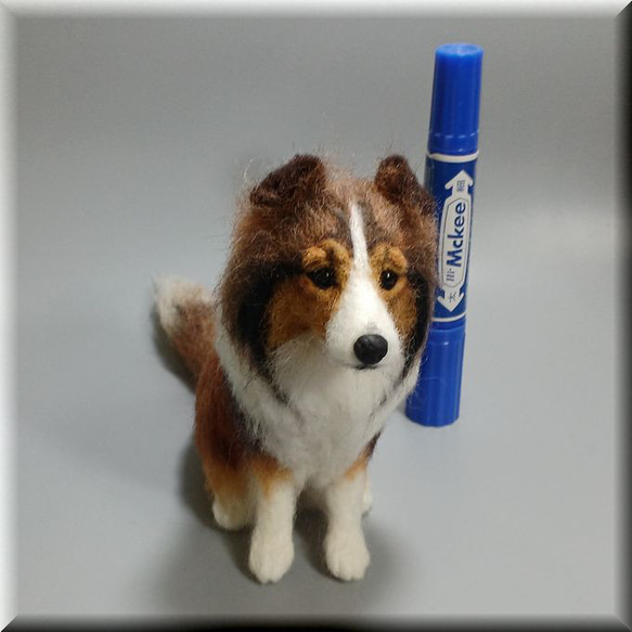 羊毛フェルト　犬　シェルティ　シェットランドシープドッグ　いぬ　イヌ　犬フィギュア 4枚目の画像
