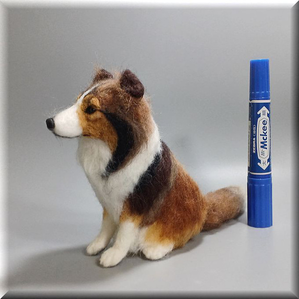 羊毛フェルト　犬　シェルティ　シェットランドシープドッグ　いぬ　イヌ　犬フィギュア 1枚目の画像