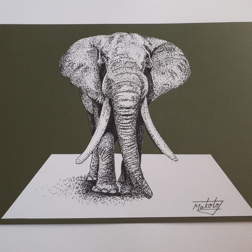 3D点描画アート ゾウ 絵画 makochin 通販 16391469｜Creema