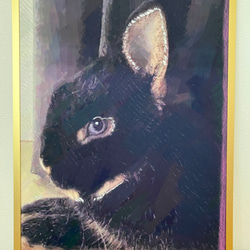『black rabbit』黒うさぎさん 6枚目の画像