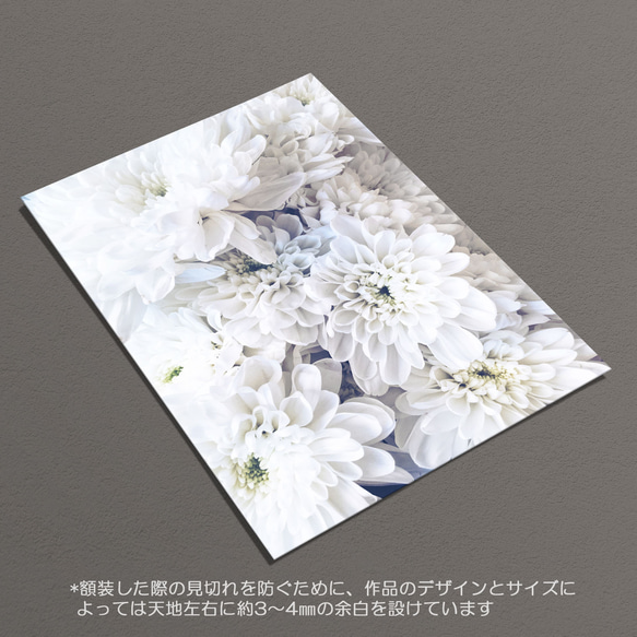 ☆ruru932001様 専用 インテリアポスター【223】【309】【406】 6枚目の画像