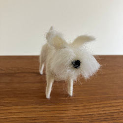 羊毛フェルト犬 ミニチュアシュナウザー 白シュナ ハンドメイド置物 4枚目の画像